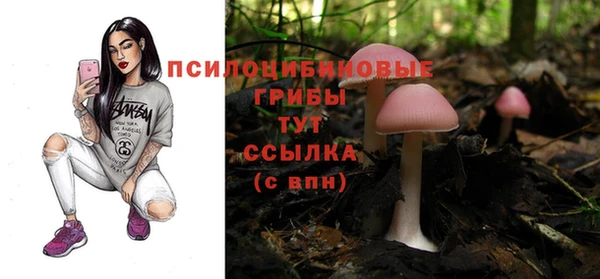 тгк Балахна
