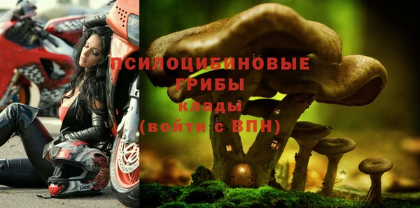 ГАЛЛЮЦИНОГЕННЫЕ ГРИБЫ Балабаново